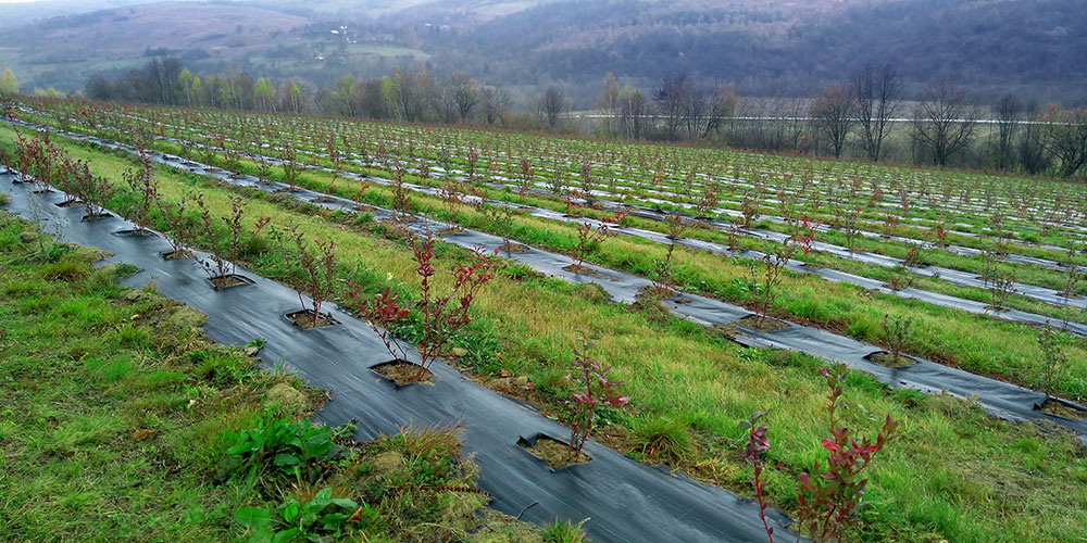 Про компанію